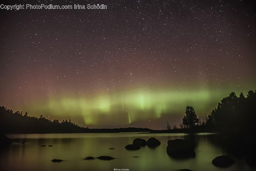 Nature, Outdoors, Night, Aurora, Plant