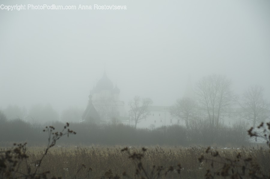 Weather, Nature, Outdoors, Mist, Fog
