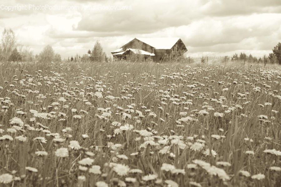 Nature, Outdoors, Countryside, Building, Rural