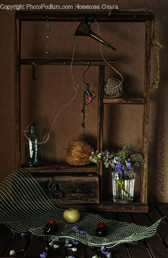 Plant, Flower, Blossom, Flower Arrangement, Ikebana