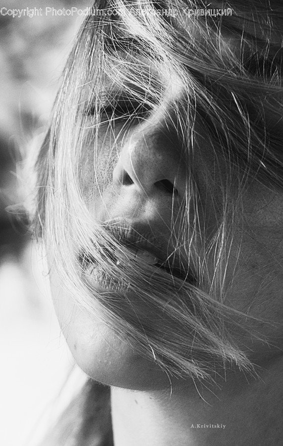 Face, Person, Human, Head, Snout