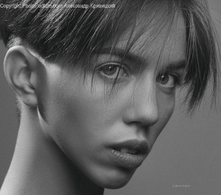 Face, Person, Human, Head, Portrait