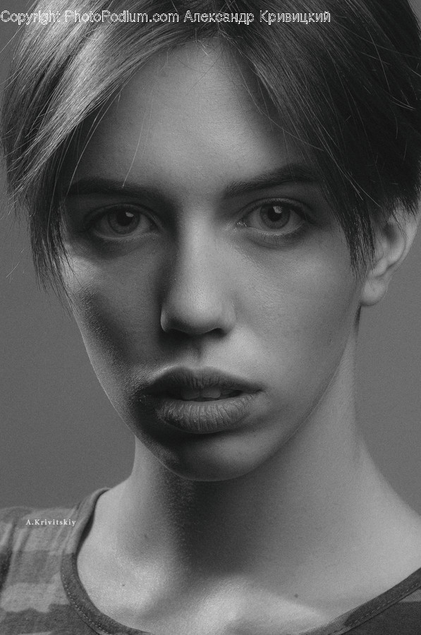 Face, Person, Human, Head, Portrait