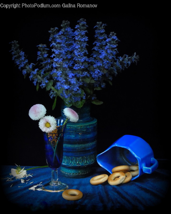 Plant, Toy, Flower, Blossom, Flower Arrangement