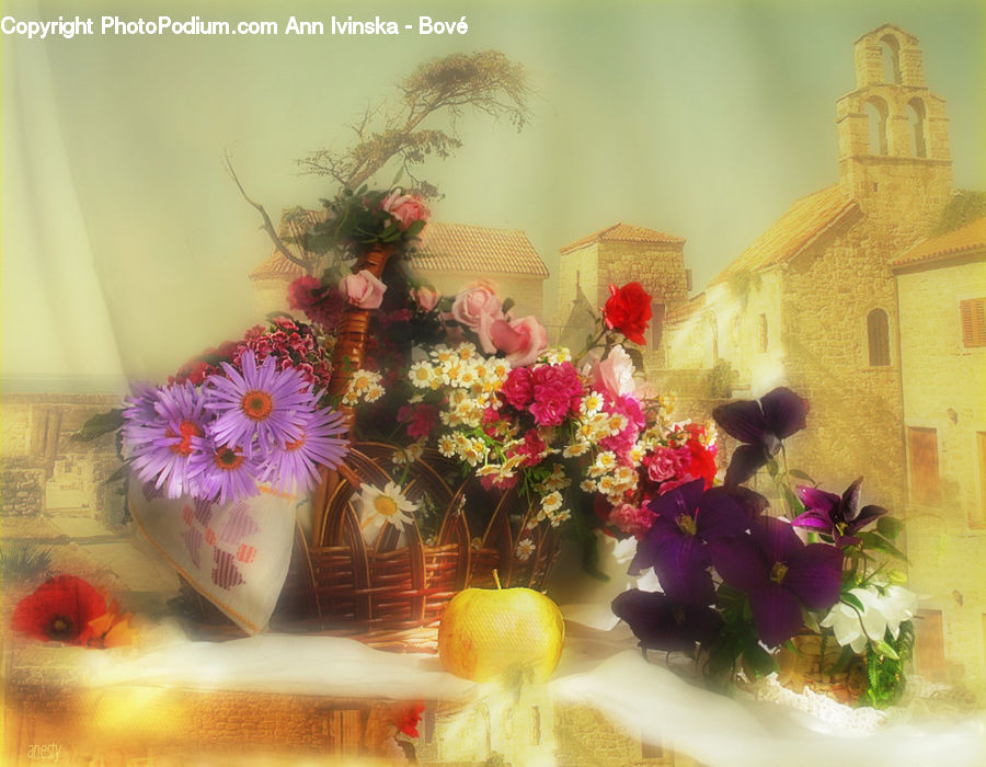 Plant, Potted Plant, Citrus Fruit, Fruit, Lemon, Floral Design, Flower
