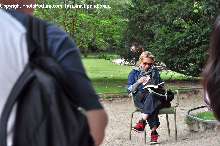 Human, People, Person, Bench, Plant, Tree, Chair