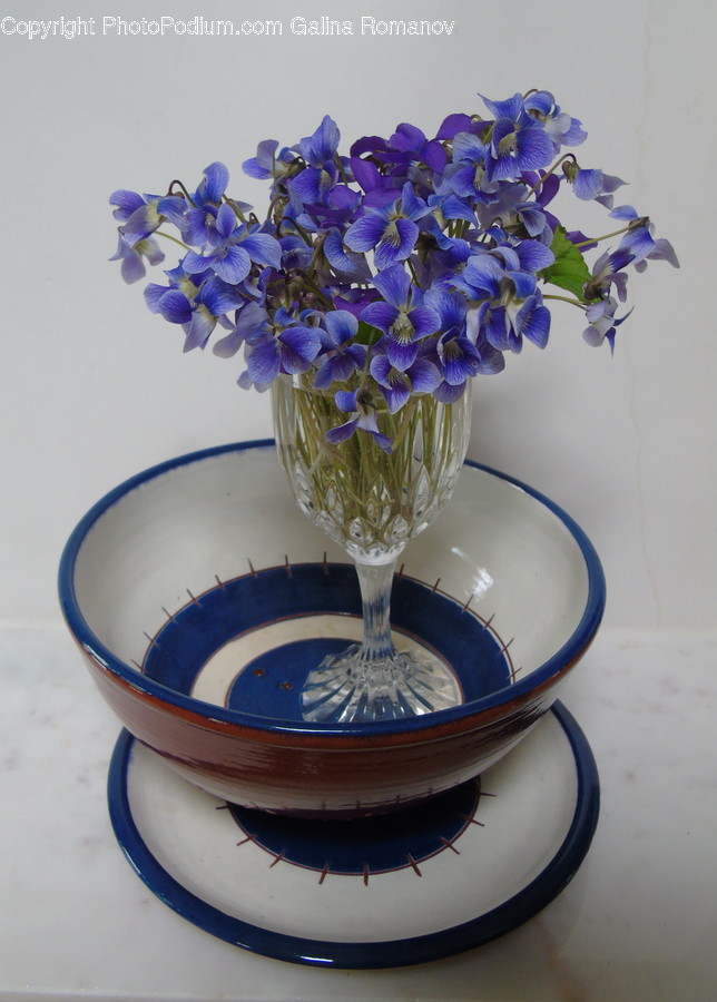 Plant, Flower, Blossom, Flower Arrangement, Pottery