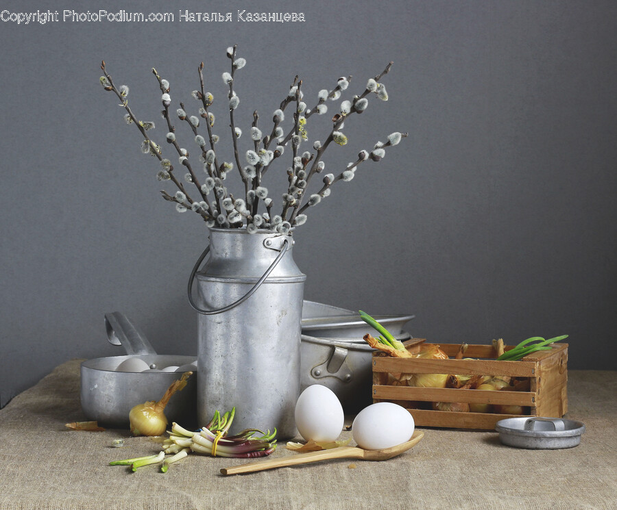 Tin, Can, Plant, Milk Can, Wood