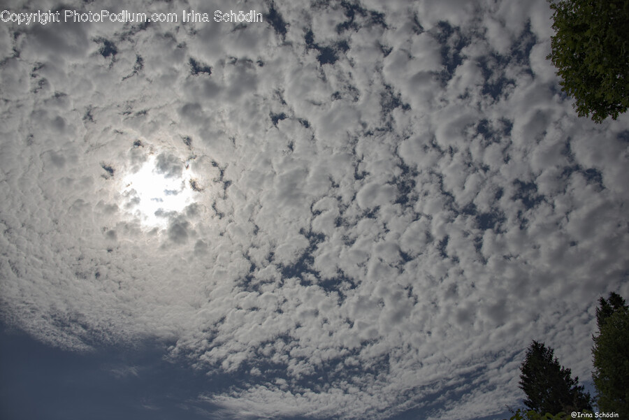 Weather, Nature, Cumulus, Cloud, Outdoors