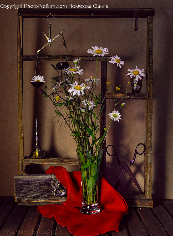 Plant, Flower, Blossom, Flower Arrangement, Flower Bouquet