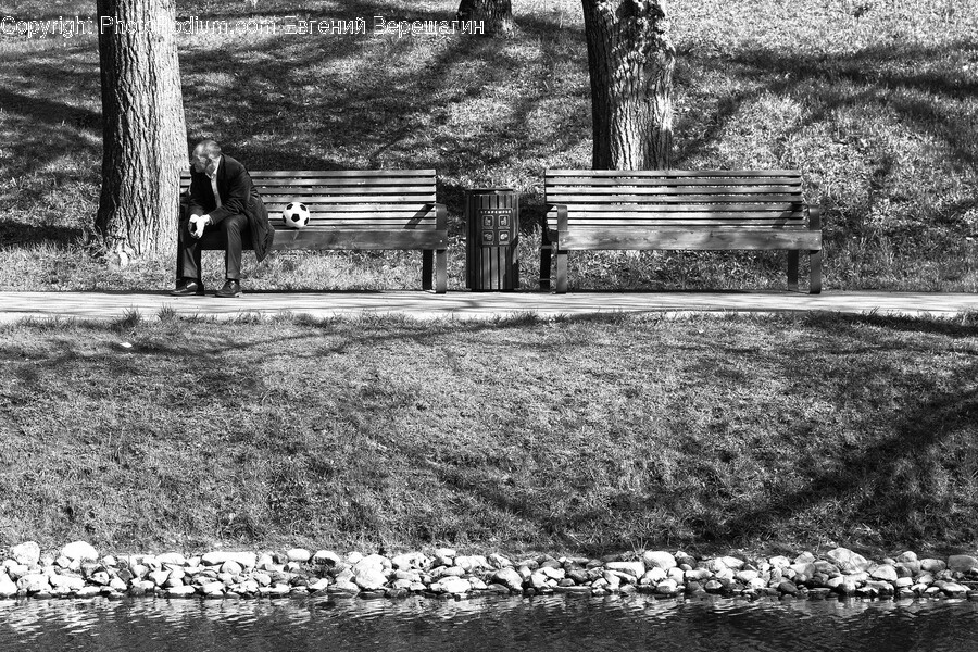 Furniture, Person, Human, Tree, Plant