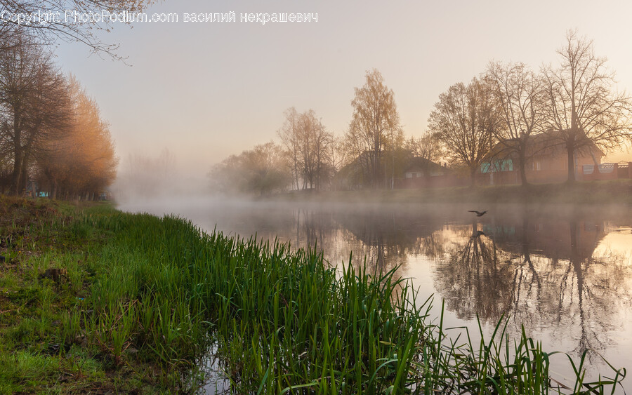 Nature, Outdoors, Weather, Mist, Fog