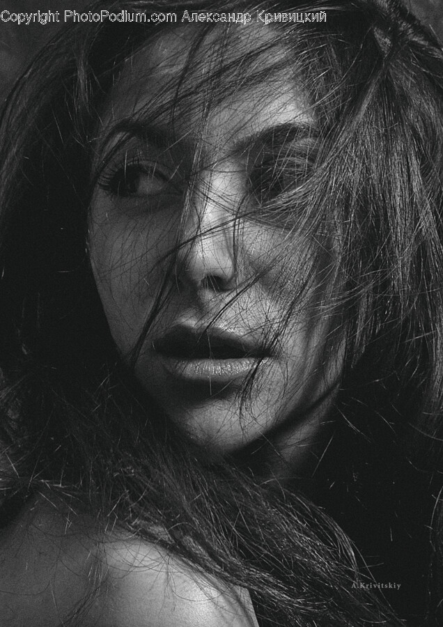 Face, Person, Human, Head, Portrait