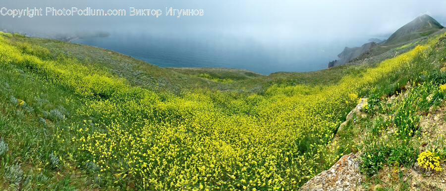 Nature, Grassland, Outdoors, Field, Countryside