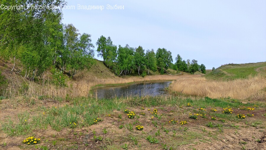 Land, Outdoors, Nature, Water, Grassland