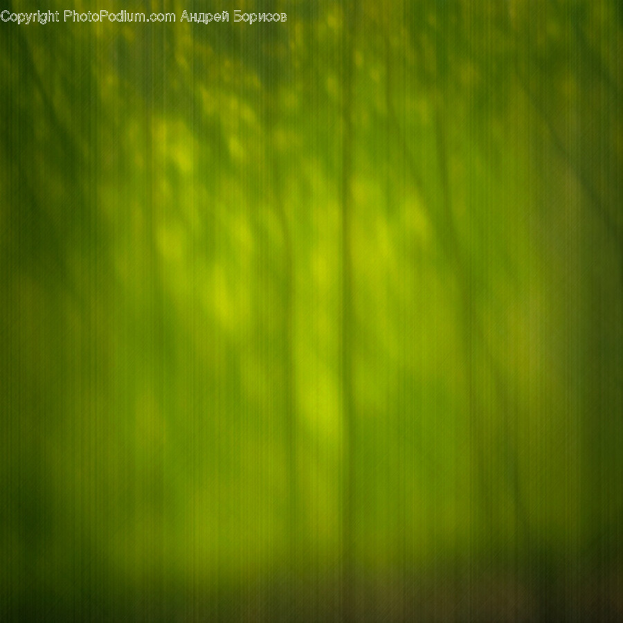 Green, Grass, Plant, Outdoors, Nature