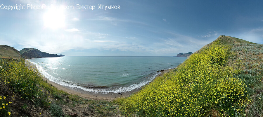 Sea, Ocean, Nature, Water, Outdoors