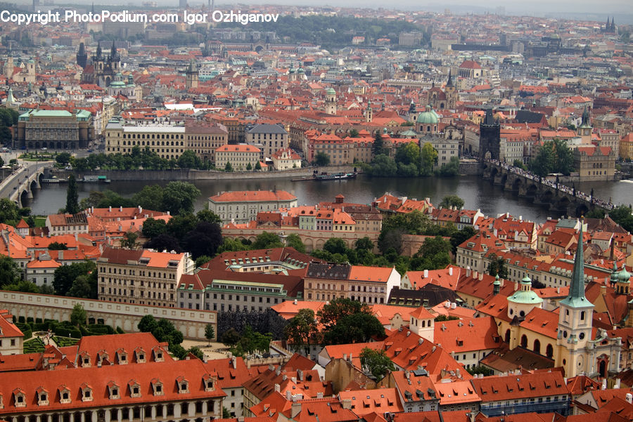 Aerial View, City, Downtown, Building, Town, Roof, Architecture