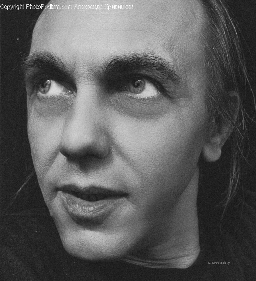 Head, Face, Person, Human, Portrait