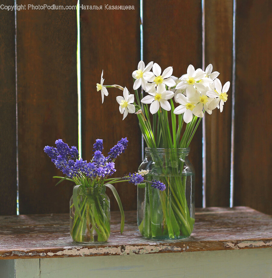 Plant, Flower, Blossom, Flower Arrangement, Flower Bouquet