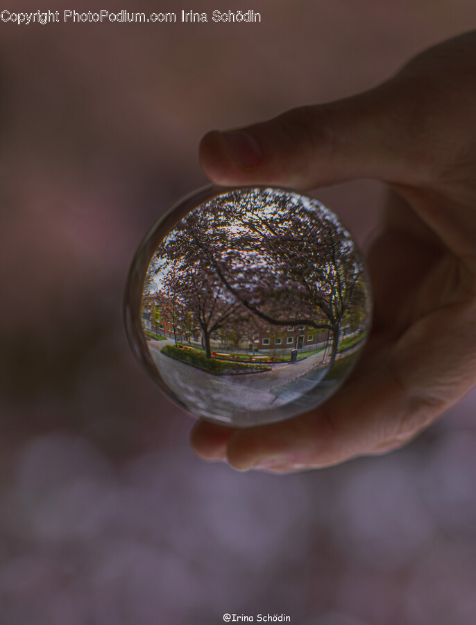 Sphere, Person, Human, Bubble, Finger