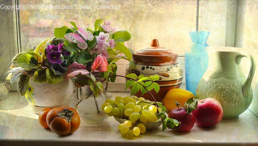 Plant, Fruit, Food, Orange, Citrus Fruit