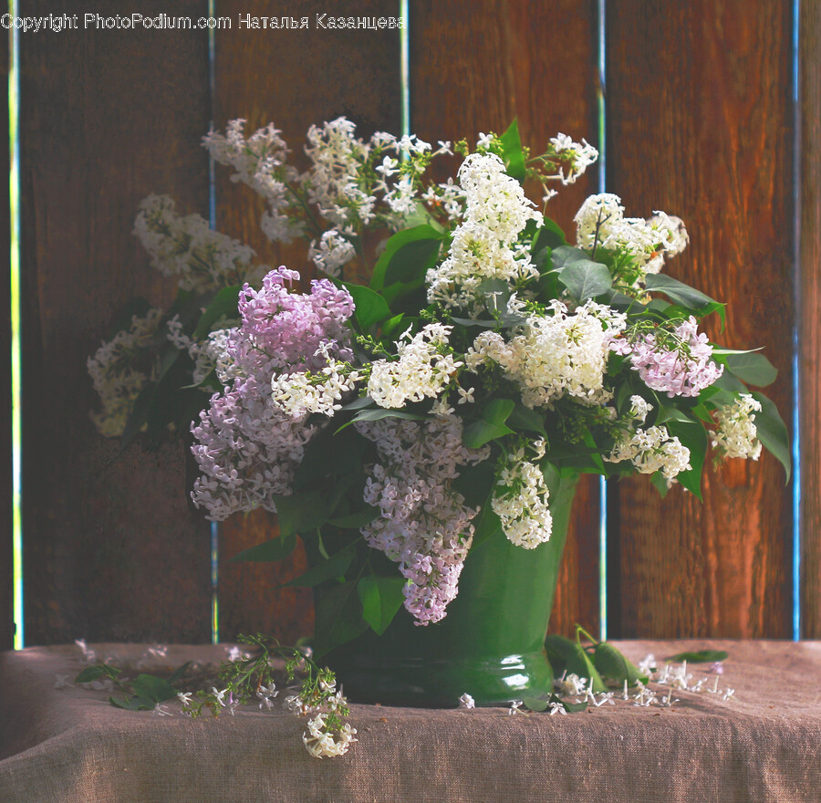 Plant, Flower, Blossom, Flower Arrangement, Flower Bouquet