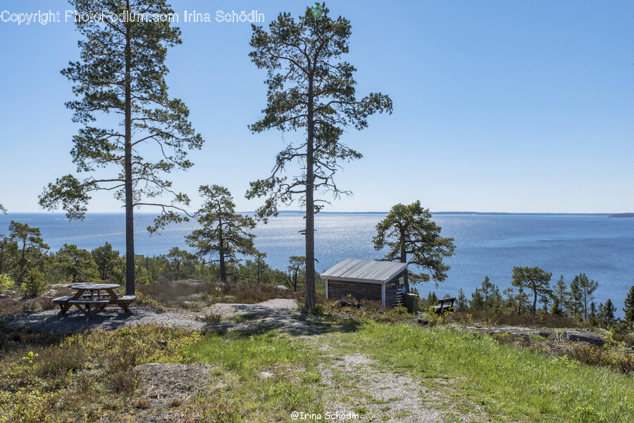Nature, Outdoors, Building, Housing, Shelter