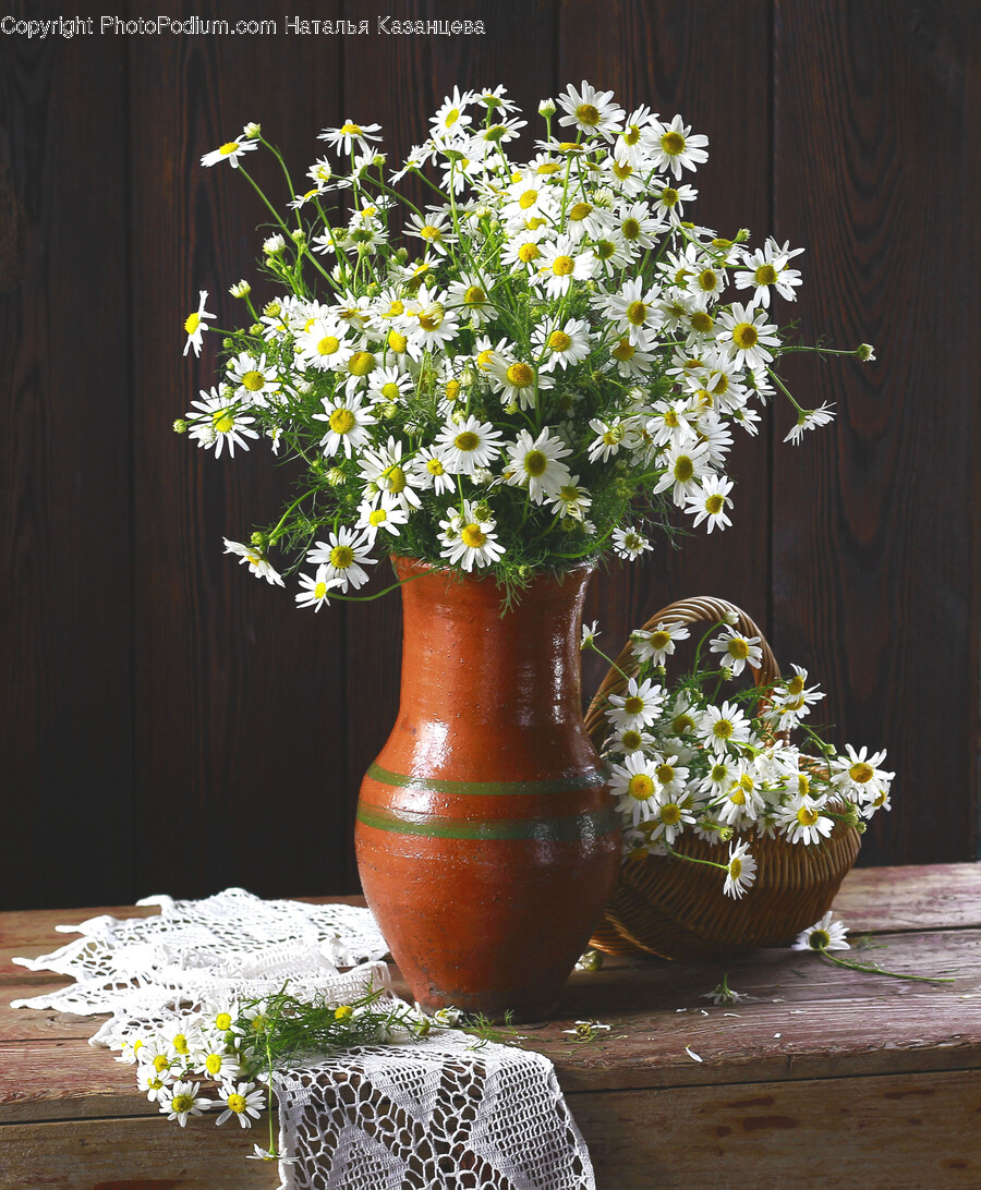 Plant, Flower, Blossom, Flower Arrangement, Flower Bouquet