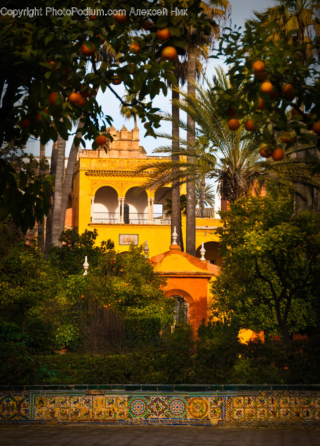 Building, Architecture, Villa, Housing, House