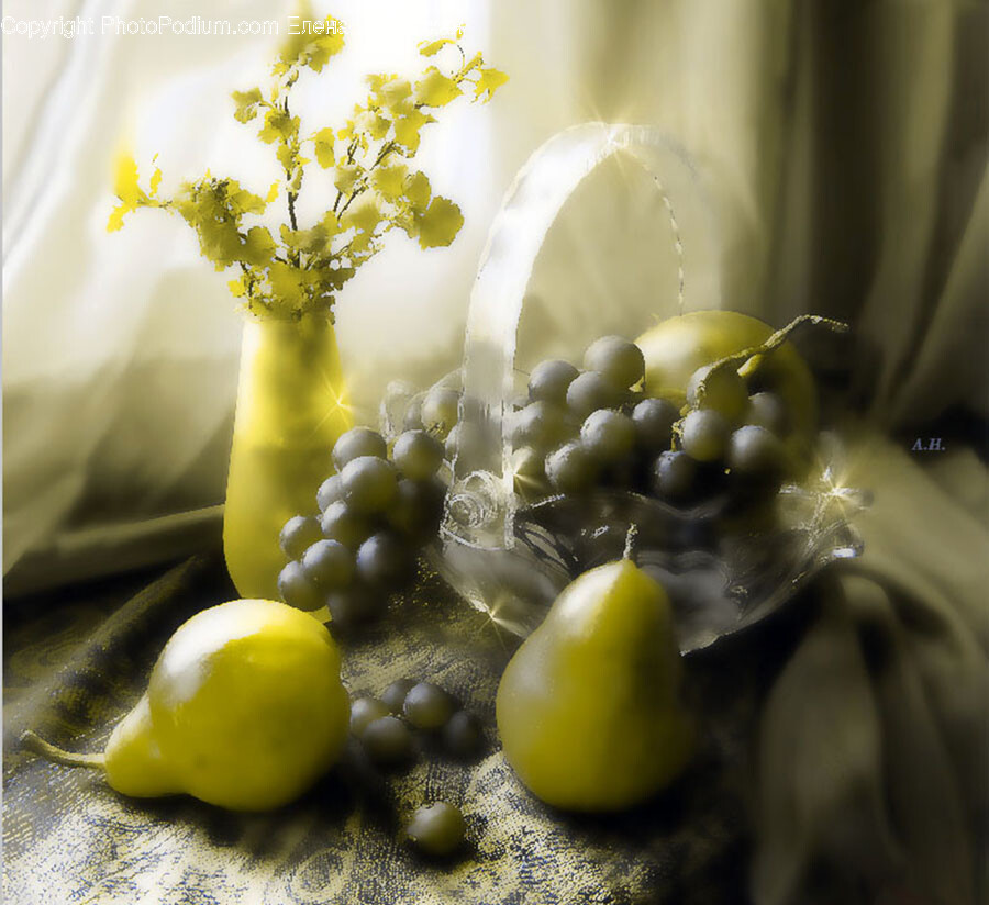 Plant, Pollen, Flower, Blossom, Food