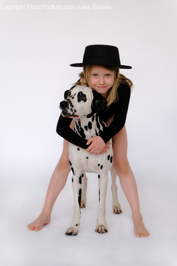 Hat, Clothing, Apparel, Canine, Mammal