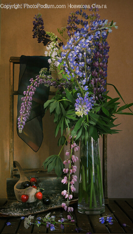 Plant, Flower, Blossom, Flower Arrangement, Flower Bouquet