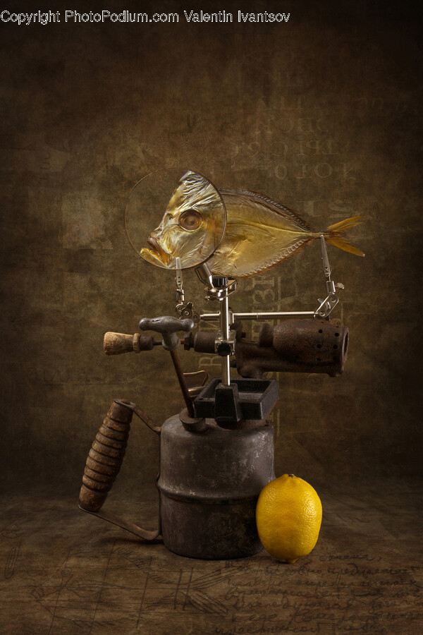Plant, Citrus Fruit, Fruit, Food, Sphere