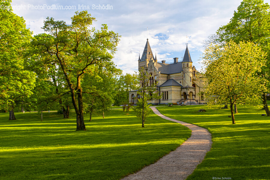 Grass, Plant, Lawn, Spire, Building