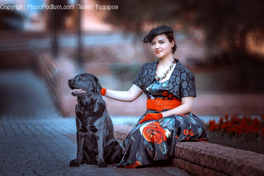 Person, Human, Dog, Pet, Canine
