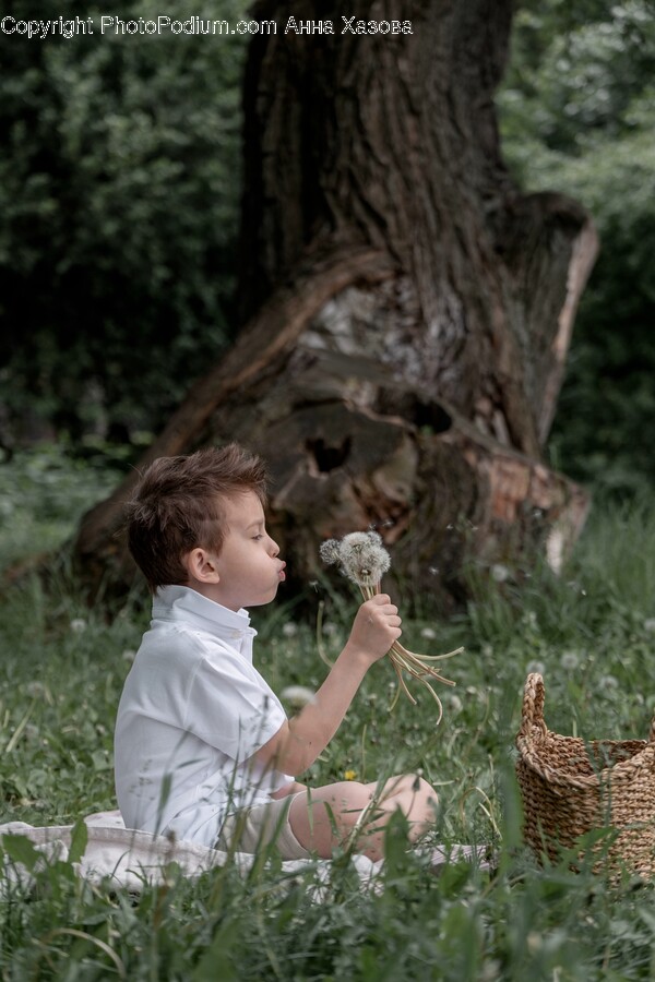 Person, Human, Plant, Basket, Chicken