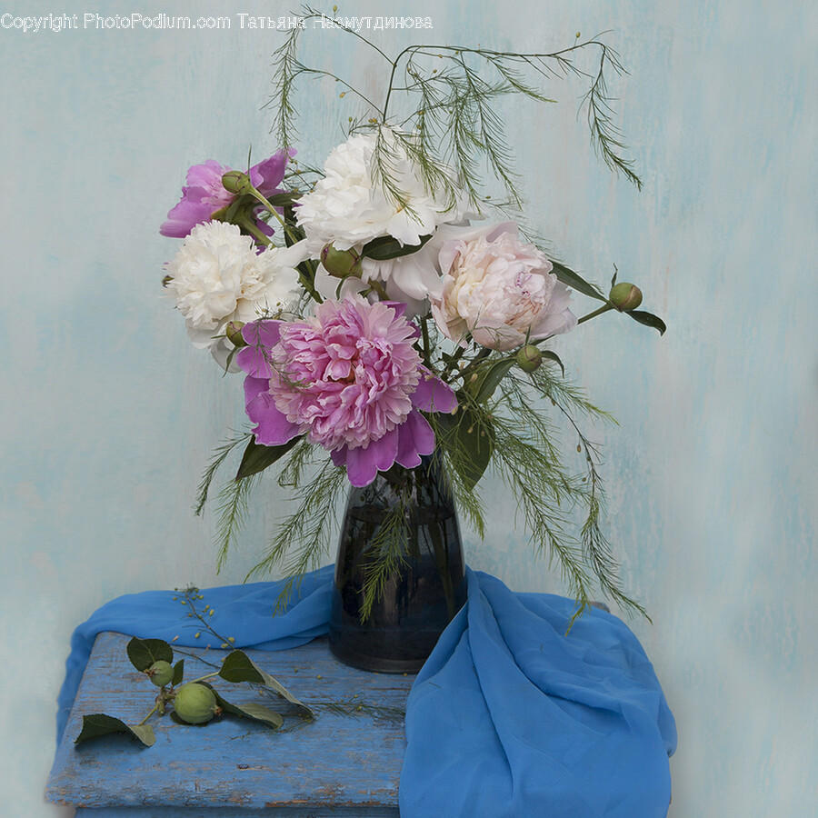 Plant, Flower, Blossom, Ikebana, Ornament