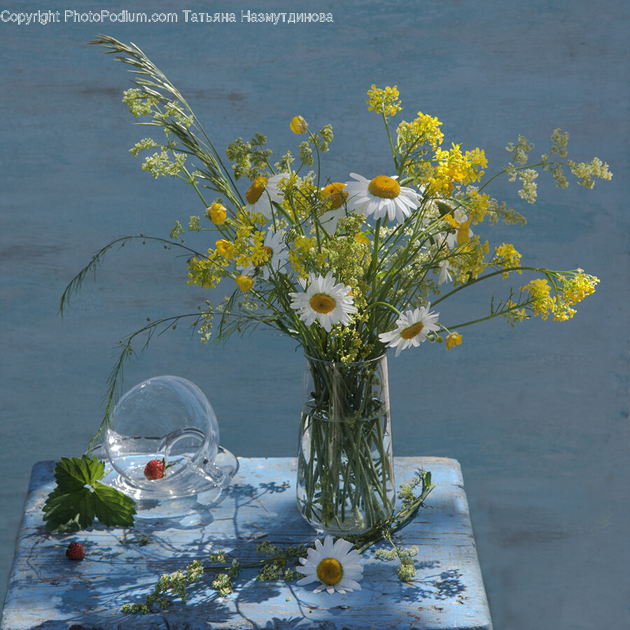 Plant, Flower, Blossom, Ikebana, Ornament