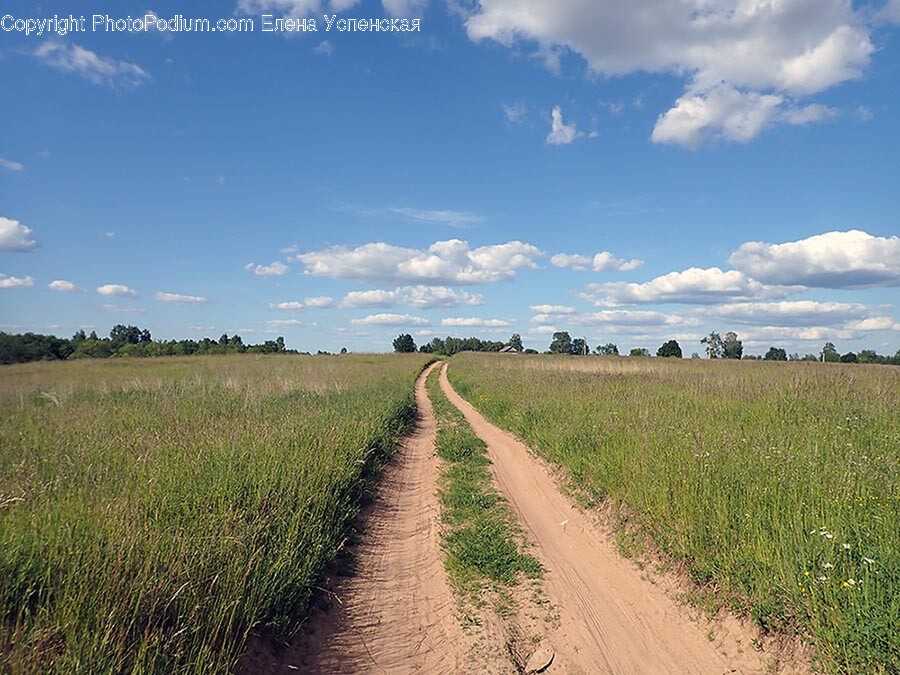 Nature, Outdoors, Field, Gravel, Dirt Road