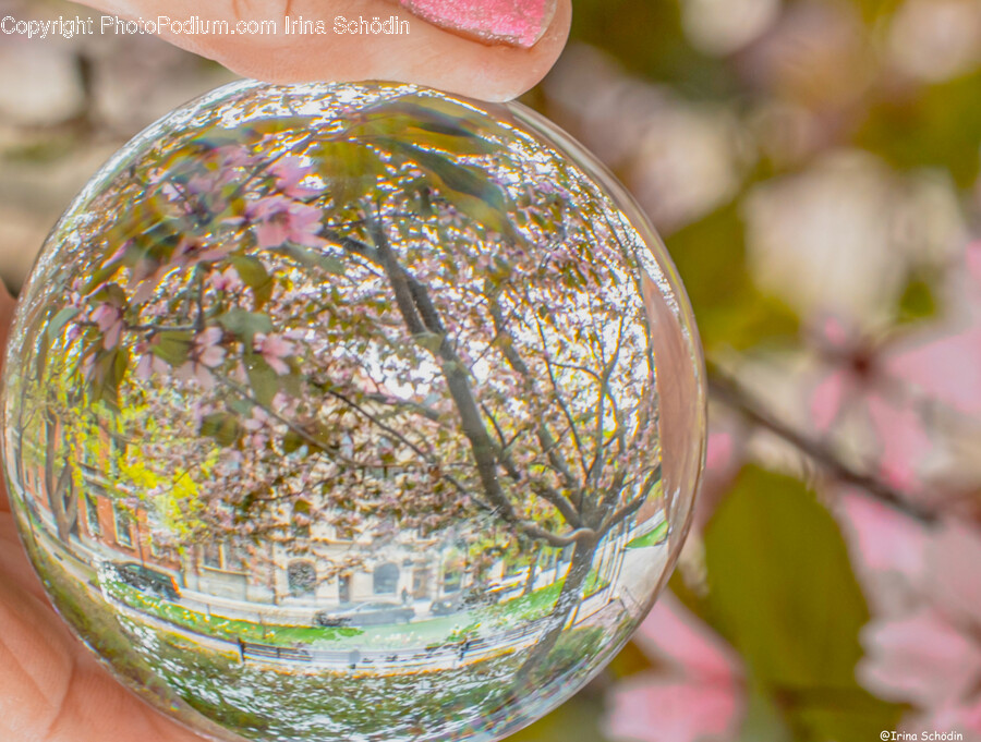 Sphere, Bubble, Person, Human, Droplet