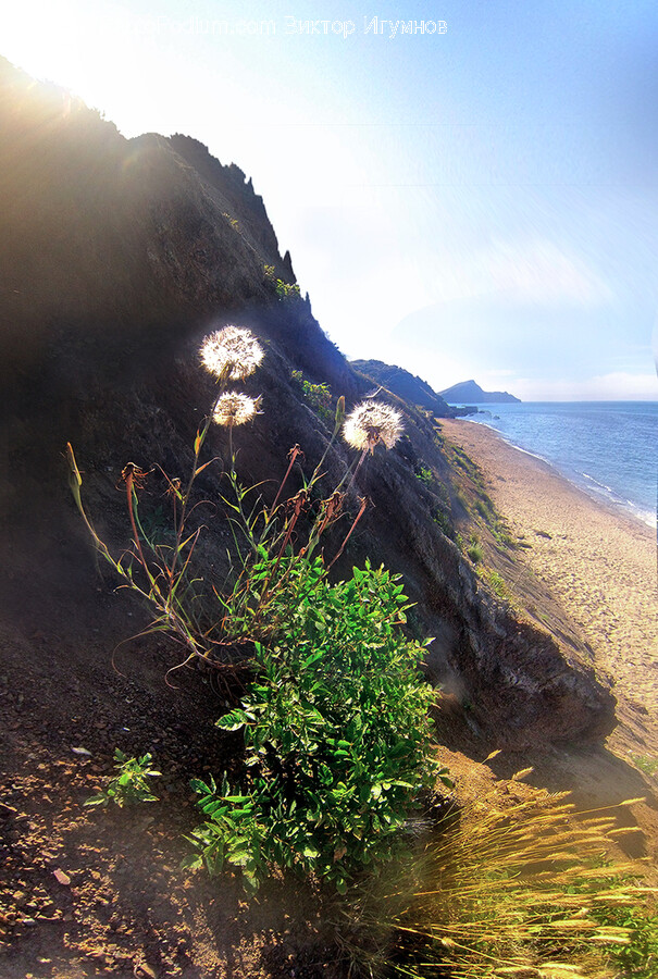 Promontory, Nature, Outdoors, Cliff, Adventure