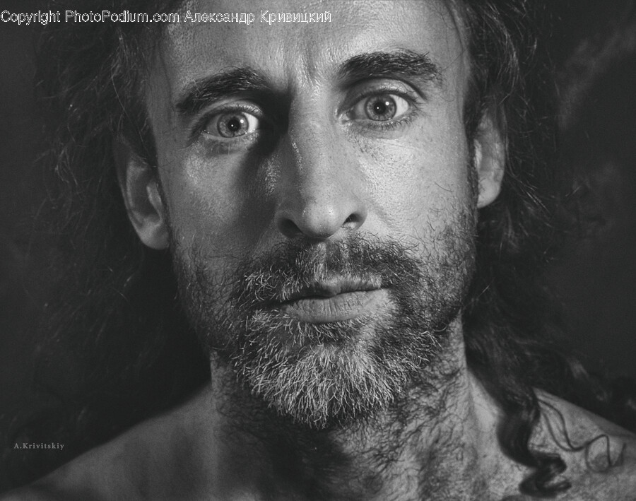 Face, Person, Human, Beard, Portrait