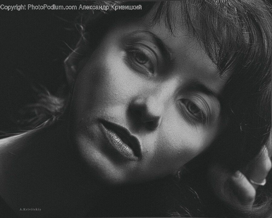 Face, Person, Human, Head, Portrait