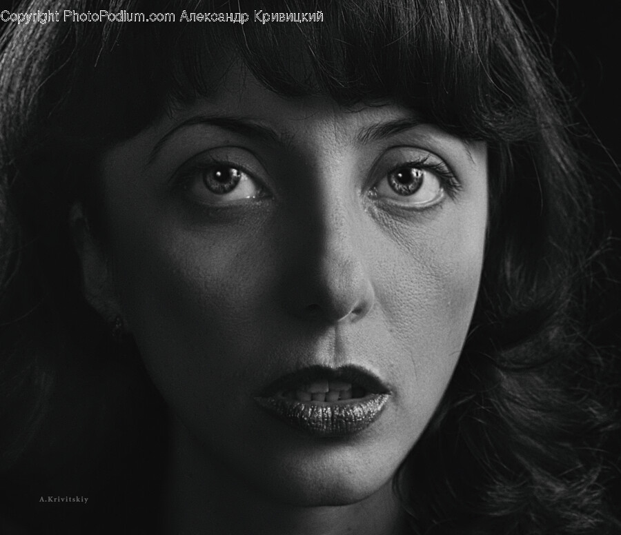 Face, Person, Human, Head, Portrait