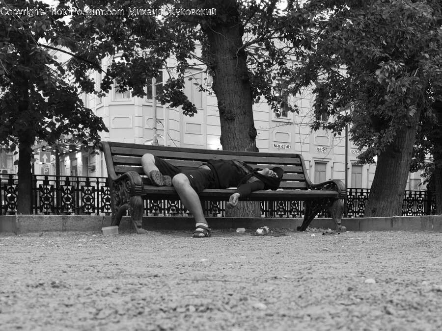 Furniture, Bench, Couch, Shoe, Footwear