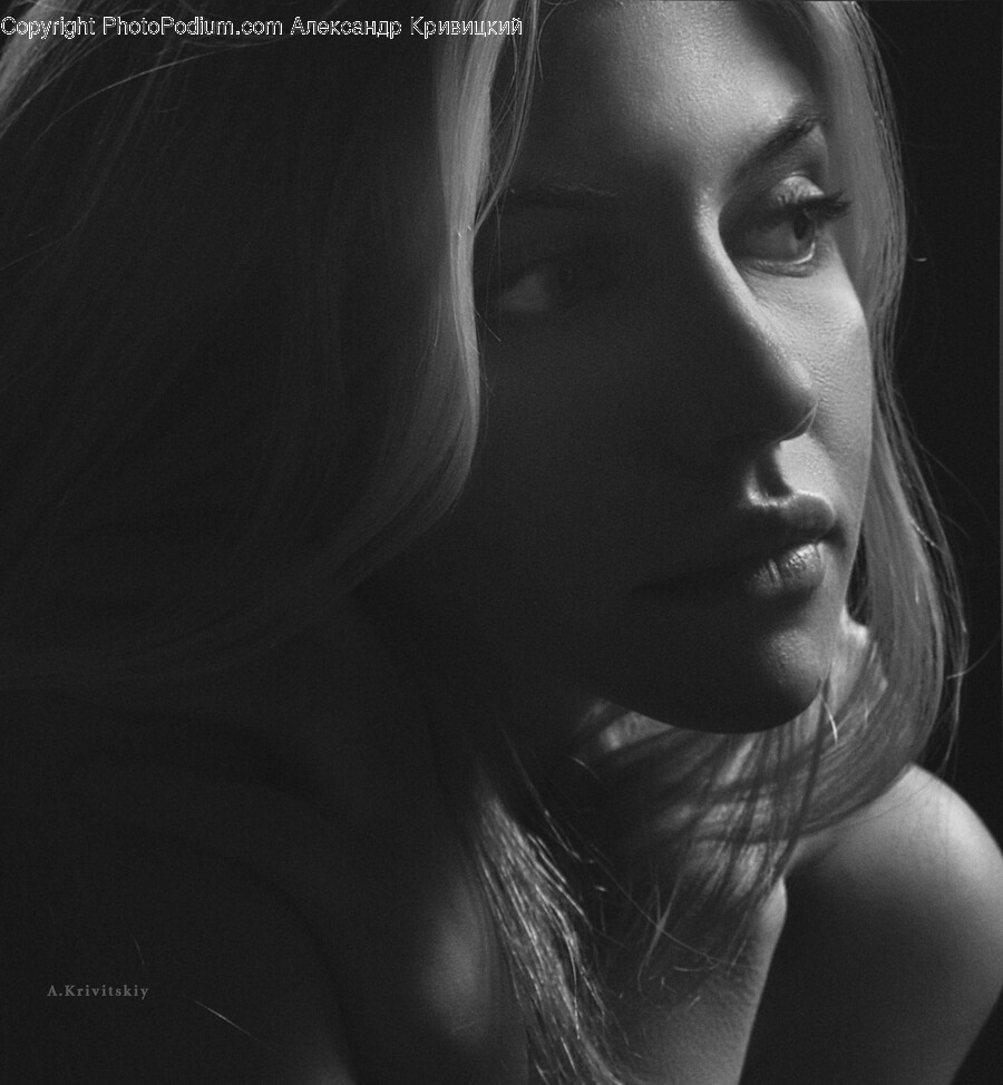 Face, Person, Human, Head, Portrait