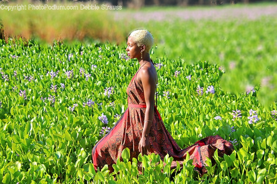 Person, Human, Tribe, Back, Plant