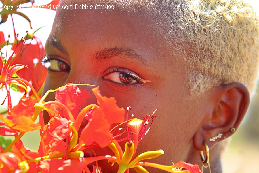 Person, Human, Plant, Flower, Blossom