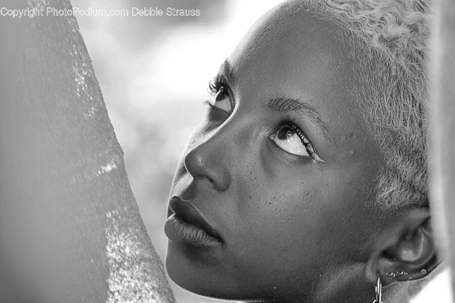 Face, Person, Human, Head, Portrait